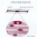 피아트짐 네이버블로그