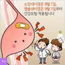 소장내시경은 8월 1일, 캡슐내시경은 9월 1일부터 이미지