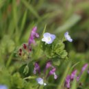 해동모텔 이미지