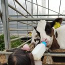 한빛목장 이미지