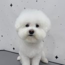 하이뭉치 유치원 네이버블로그