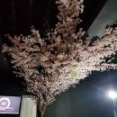 불꽃노래광장 이미지