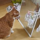 사벌농업협동조합 화장실 | 2023.07 (1)