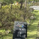 문경한옥펜션 | [문경 한옥 펜션 추천] 애견동반 가능 문경한국펜션 후기