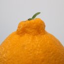 김명선농장 이미지