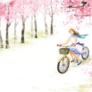 블라인드나라 - 성남시 분당구 벌말로50번길 42 | 블라인드나라