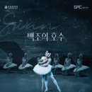 강릉아트센터 대공연장 사임당홀 이미지