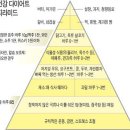 비만전문의 박용우 교수의 다이어트 기 이미지