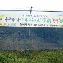 나무이야기민박