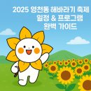 2025 영천동 해바라기 축제 직접 다녀온 후기와 일정 꿀팁