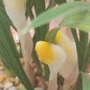 부안 안심소 이미지