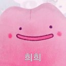 희희 이미지