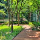 명지초등학교 이미지