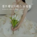 셀프웨딩드레스 쇼핑몰 추천 유색 심플한 드레스 후기