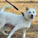 송강동물병원 이미지