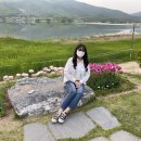 영선필름 이미지