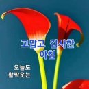 깨달음이 별거더냐 이미지