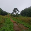 우의목장 이미지