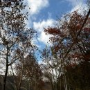 순라황토펜션 이미지