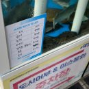 도시어부&미쓰물회 이미지