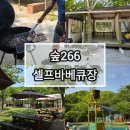 광릉수목원로 | 아이랑 갈만한 서울근교바베큐, 숲266 셀프바베큐장 솔직후기