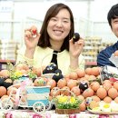 영농조합법인 무지개농장 이미지