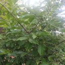 간석3동-23 이미지