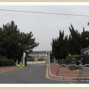 사계초등학교 이미지