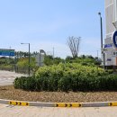 마마트24 이미지