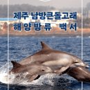 [소리의숲] 방류 2년여 만에…‘비봉이 백서’ 발간됐다 이미지