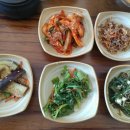 웰빙 산채마을