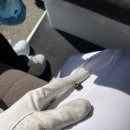 세일골프장 이미지