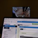 빨리발리 18박 19일 | 길리편 (8) 터틀헌팅, 거북이사롱, 수미사테, 길리요, 파인트리비치호텔_순찌, 펄...