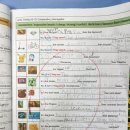 폴리영어교습소 | 영어말하기대회 엘지피아이 영어학원에 딸아이 보내고있는 후기