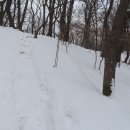 석성산 등산로 이미지