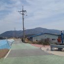 홍해태양광발전소 이미지