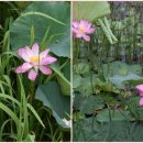 방죽근린공원 이미지