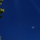 명치약국 이미지