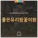 좋은유리랑꽃이랑 네이버블로그