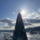 묵호등대바람의언덕논골카페 이미지