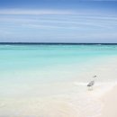 에메랄드 이미지