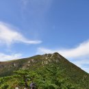 신불산(1,159m), 간월산(1,069m)의 공룡능선으로..(1) 이미지