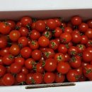 함라농장 이미지