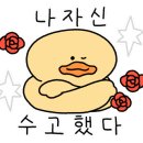 파스토보이송정