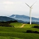 청태산목장 이미지