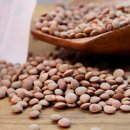 허브나래 이미지