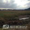 시흥리-8 이미지