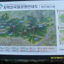 오토타운