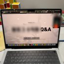 아이 키우며 집에서 돈벌수 있는 최고의 선택 - 로로대학후기