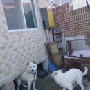 창신농장 이미지